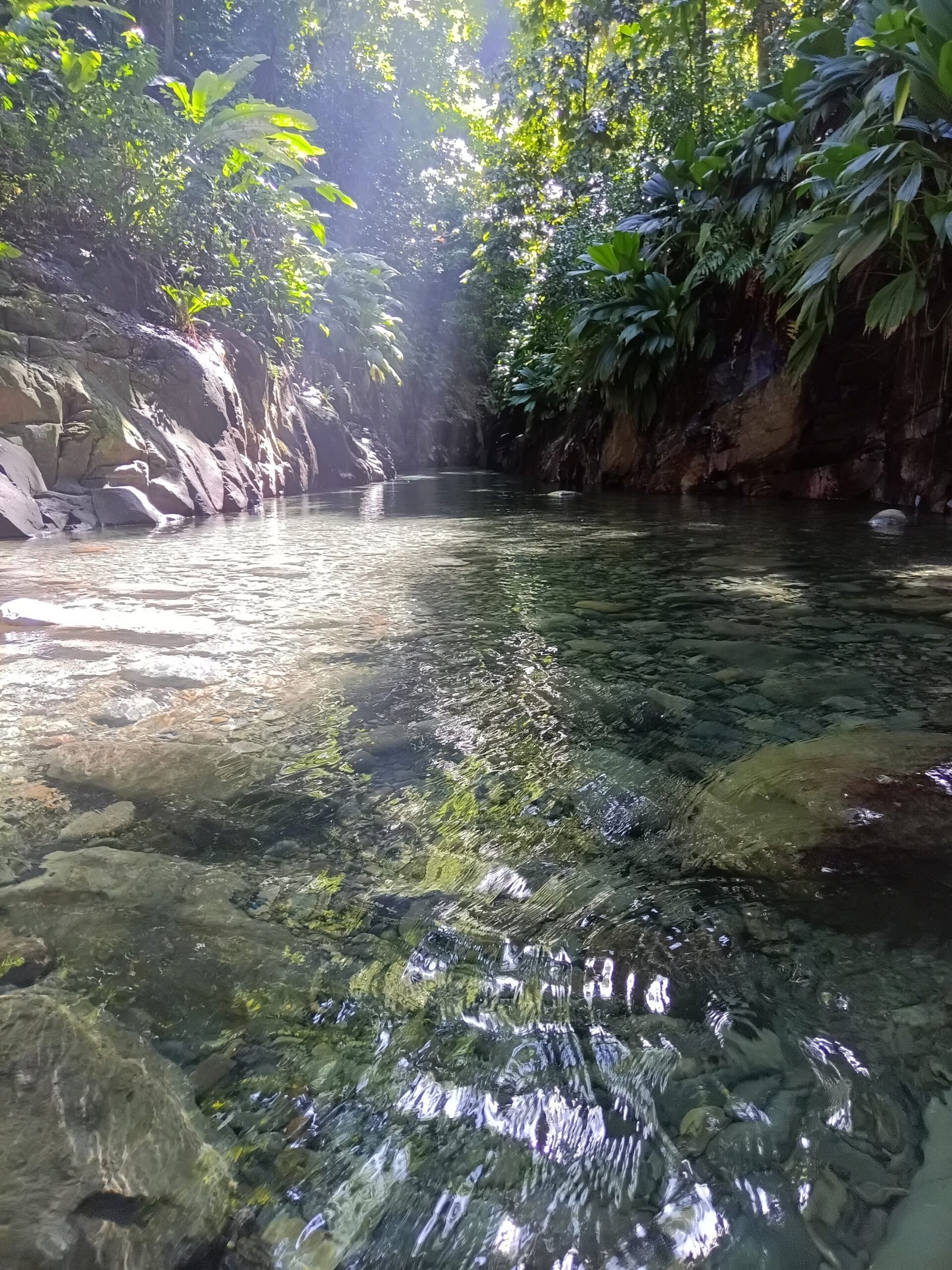 Canyon Moustique Guadeloupe